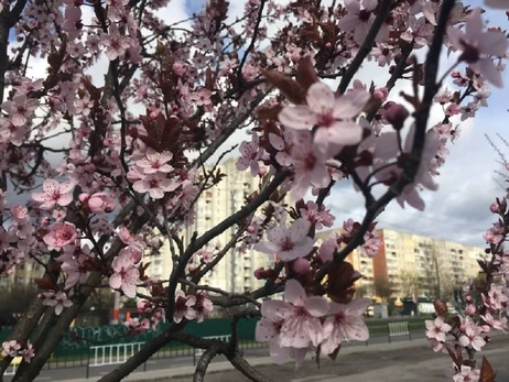 28 березня - яке сьогодні свято, День географа, все про цей день